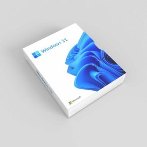 Lisensi-Windows-11-Alwinson